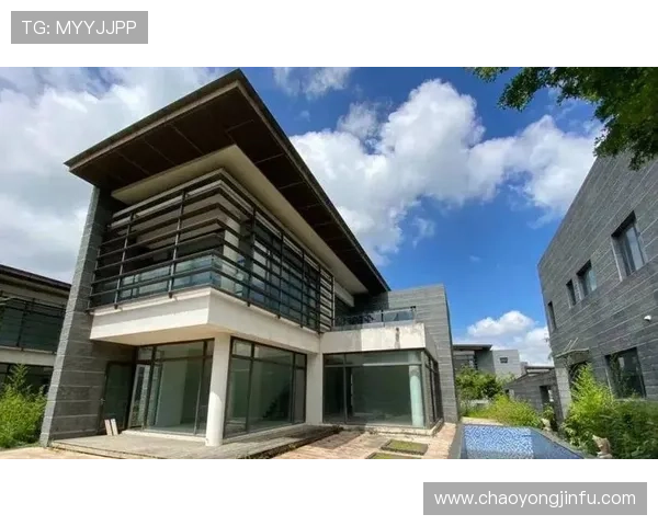 梅斯俱乐部引领城市精英社交新风尚打造高端生活方式体验