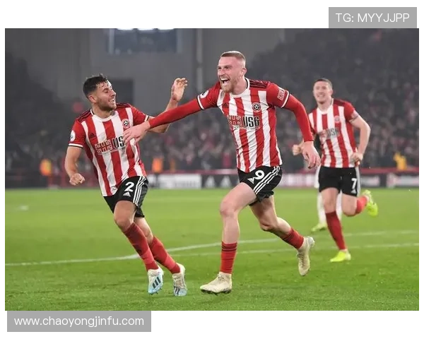 谢菲尔德联全力备战新赛季誓要重振雄风再创英超辉煌