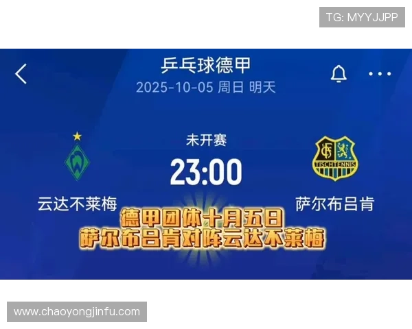 乒乓球德甲联赛主要转播平台及观看渠道全面解析